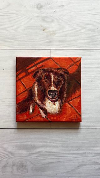 Dipinto cane Border Collie