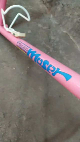 Cuadro Bicicleta Francesco Moser