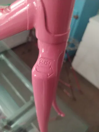 Cuadro Bicicleta Francesco Moser