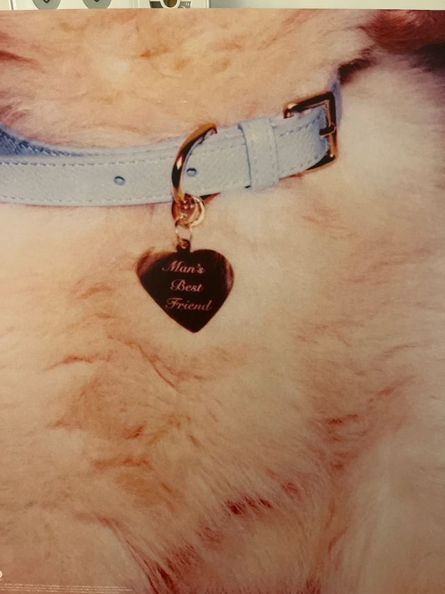 Sabrina Carpenter Man’s Best Friend