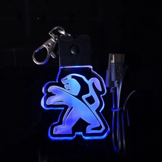 Llavero LED personalizado - 206 306 106