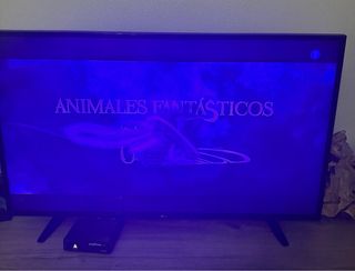 Televisión LG 50' Smart TV