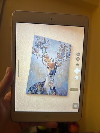 iPad mini 2 WIFI 32GB