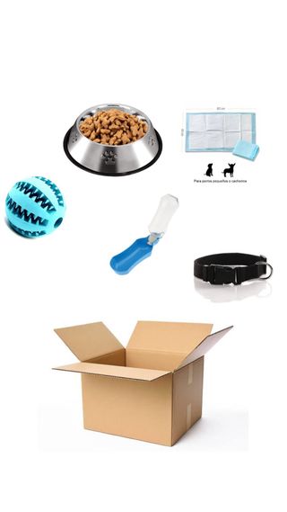 Cesta bienvenida perro: cuenco, juguete, collar