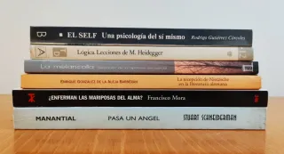 LOTE LIBROS DE PSICOLOGÍA