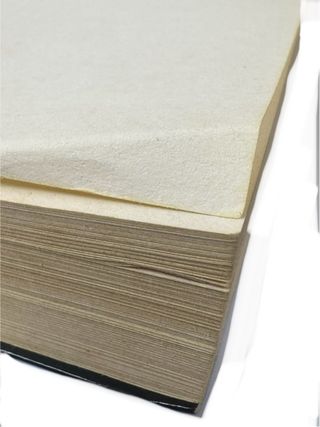 Esta noche dime que me quieres (Spanish Edition)