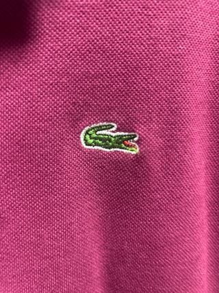 Polo Crop Lacoste Talla Única