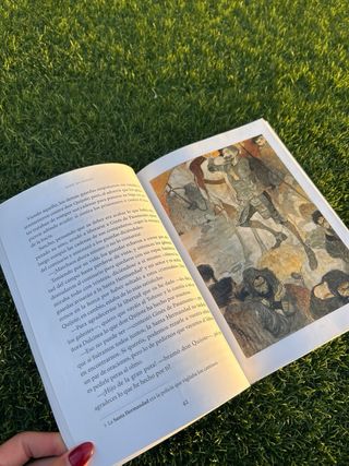 Don Quijote - Cucaña (Cucana) (Spanish Edition)