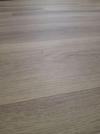 Suelo laminado 90m² (1 año uso)