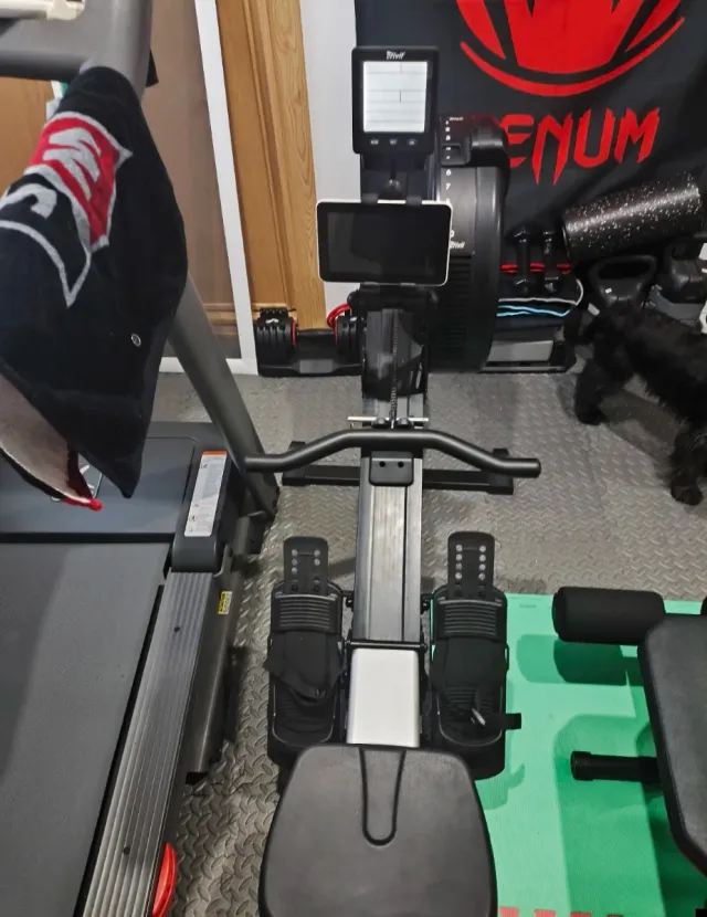 Máquina de Remo Crivit