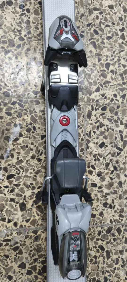 Esquís, bastones y funda