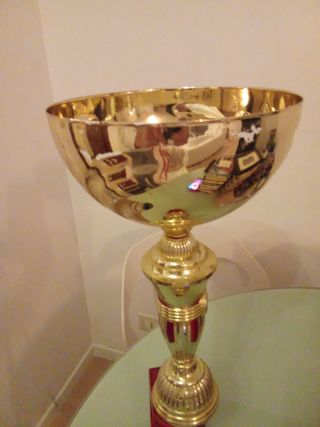 Trofeo sportivo Vintage 52 cm
