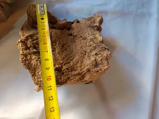 2 Unidades Corcho Bornizo Natural