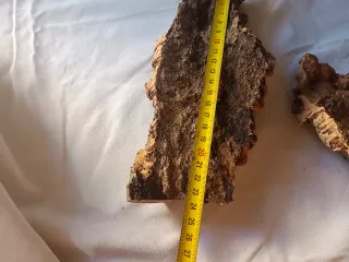 2 Unidades Corcho Bornizo Natural