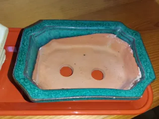 Tiestos, macetas de cerámica para bonsai