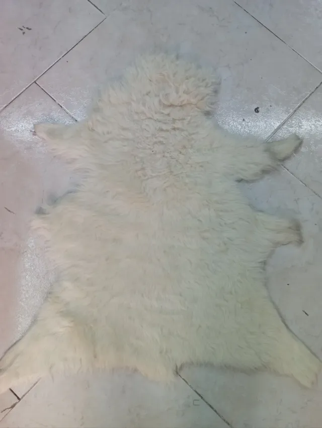 Tappeto vera pelle di pecora bianco