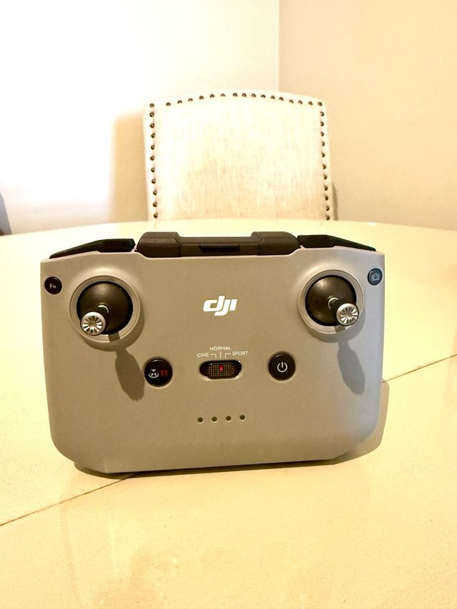 Mando DJI RM231