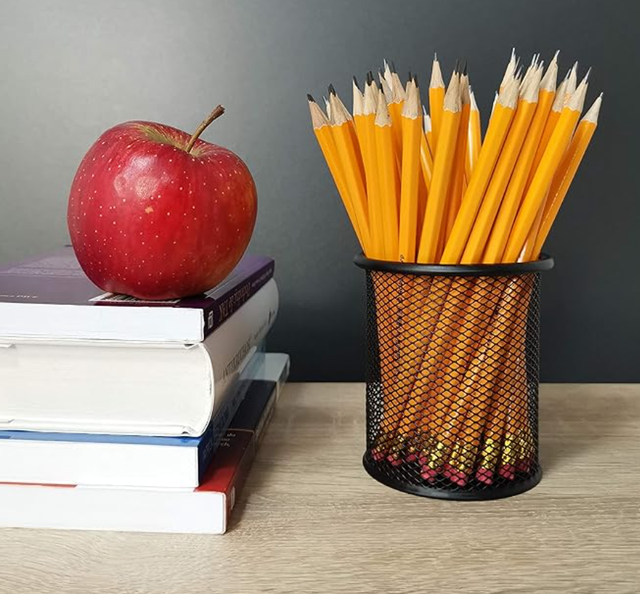 Portalápices D.RECT Leviatan 7613 Malla Metálica