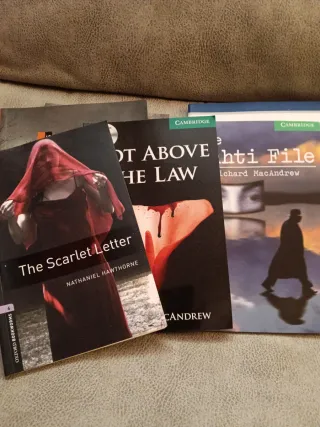 Lote de Varios libros en inglés. 9 libros