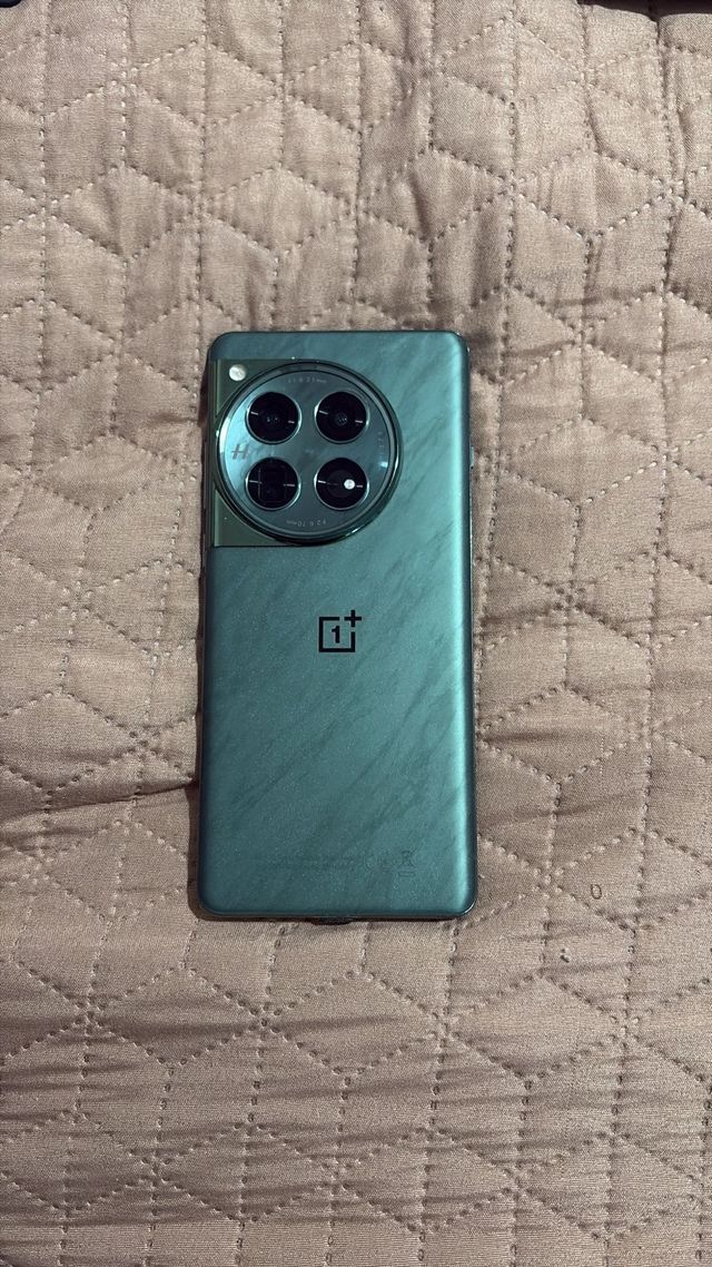 OnePlus 12 Negro/Verde
