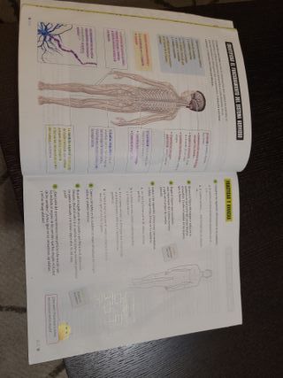 Proyecto: FanFest. Ciencias de la Naturaleza 6 ...