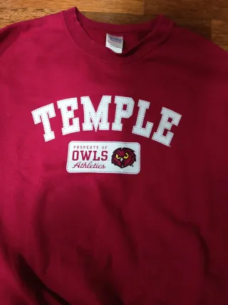 Sudadera Vintage Temple Owls Rosa