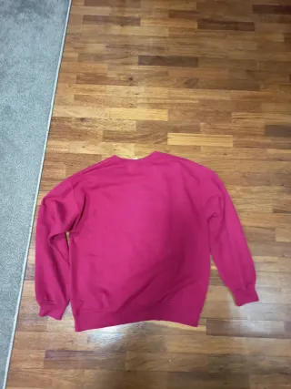 Sudadera Vintage Temple Owls Rosa