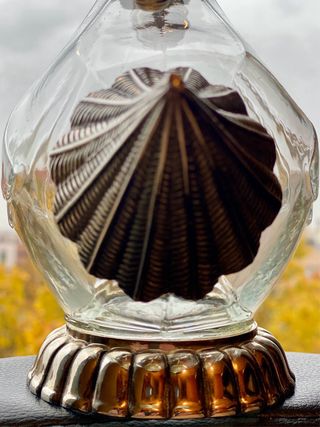 Decantador Vino Vintage 70s