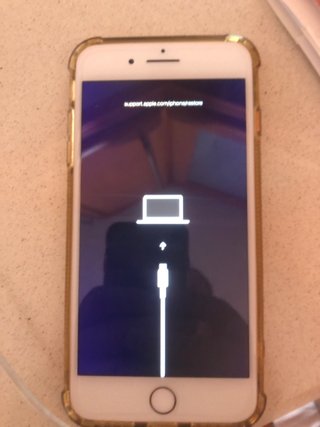 iPhone 7 Plus Rose Gold