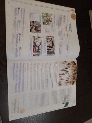 Ciencias Sociales 6.