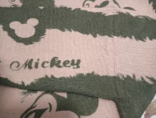Jersey Mickey Mouse beige y verde
