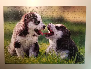 Puzzles varios