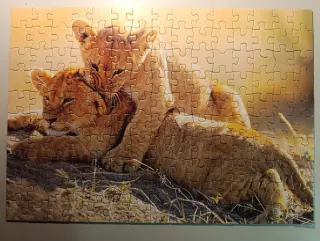 Puzzles varios