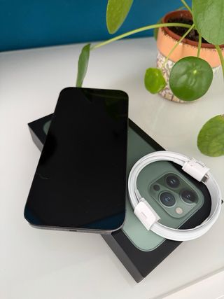 iPhone 13 Pro Max Verde
