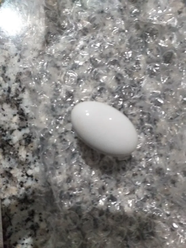 8 Tiradores  blancos de ceramica con base dorada.