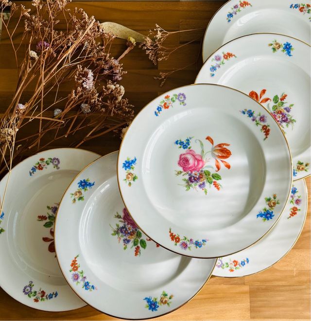 Platos hondos porcelana francesa floral