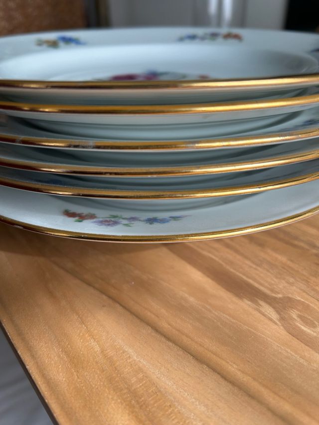 Platos hondos porcelana francesa floral