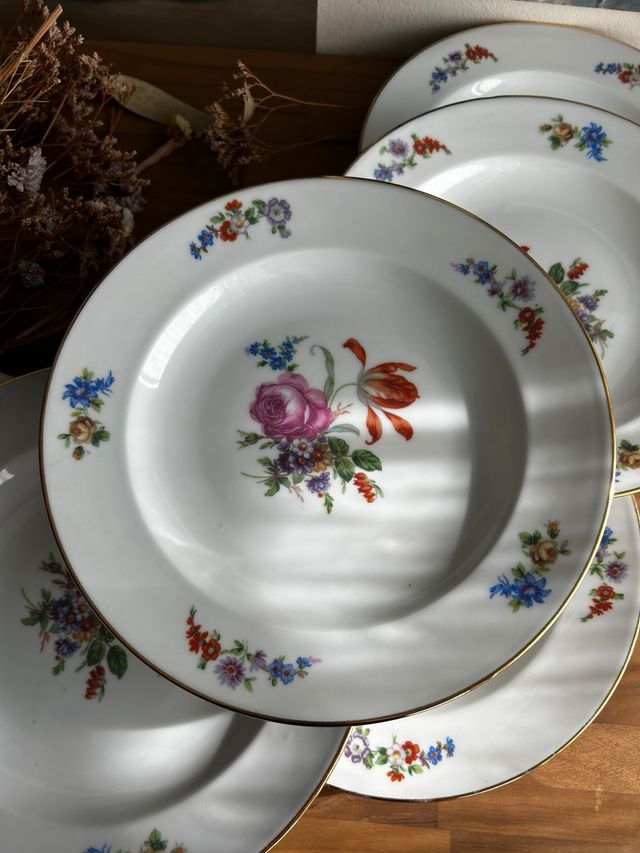Platos hondos porcelana francesa floral
