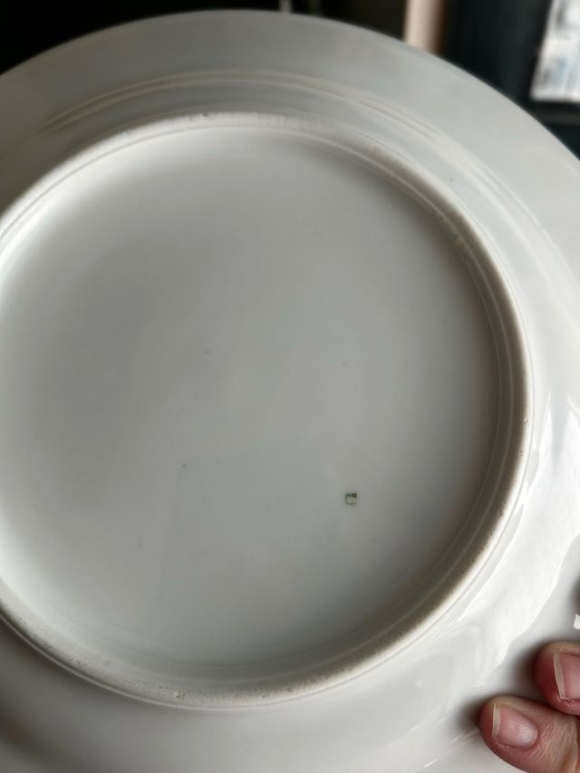 Platos hondos porcelana francesa floral