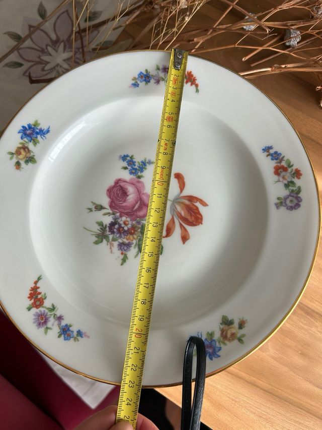 Platos hondos porcelana francesa floral