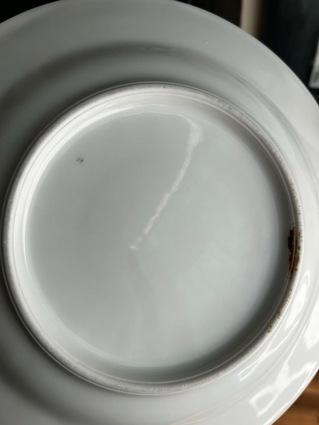 Platos hondos porcelana francesa floral