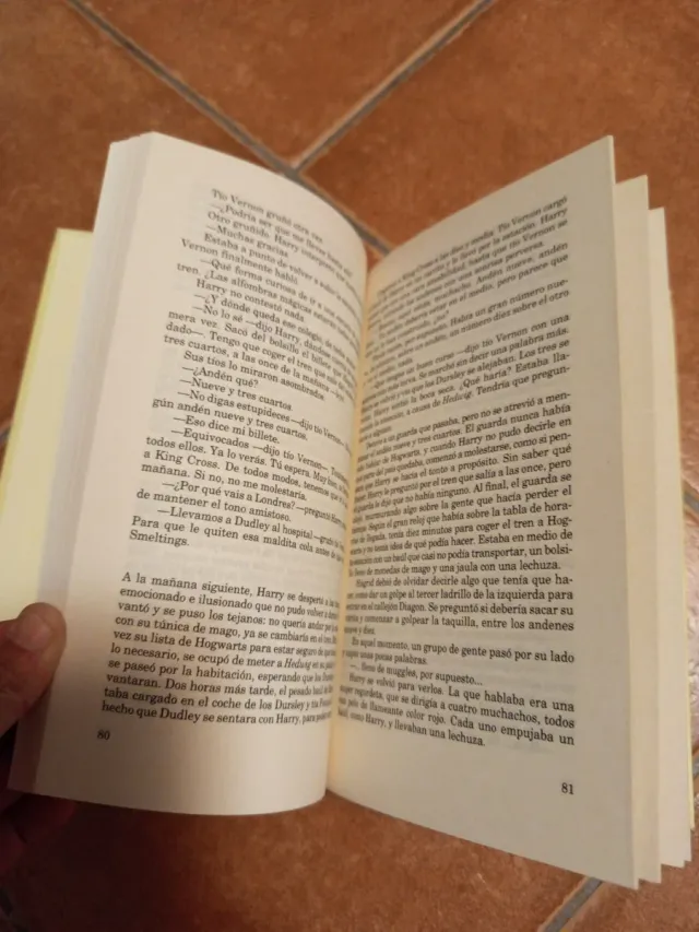 Harry Potter Y La Piedra Filosofal