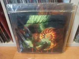 Paradise Lost Draconian Times 25 Aniversario Vinil