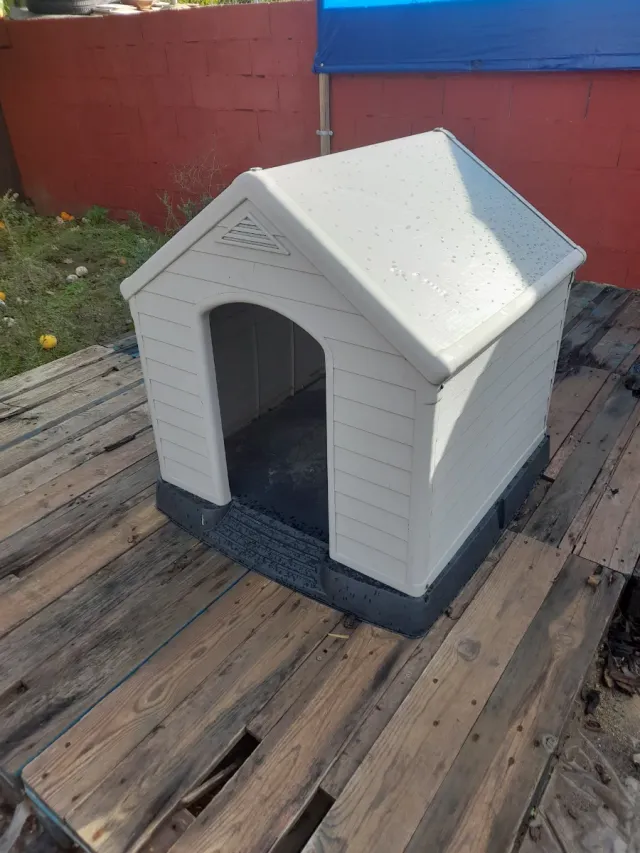 Caseta perro grande Keter gris/blanca