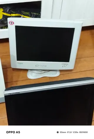 Lote 5 Pantallas Ordenador Blancas y Negras