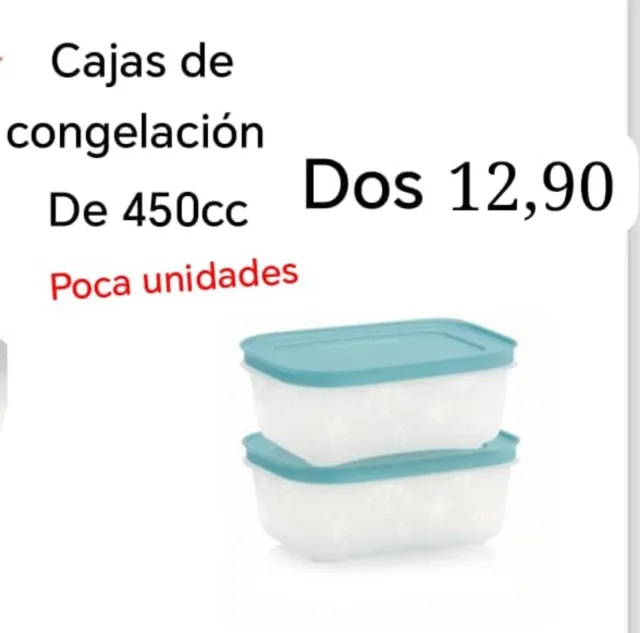 2 Cajas Congelación Tupperware 450cc