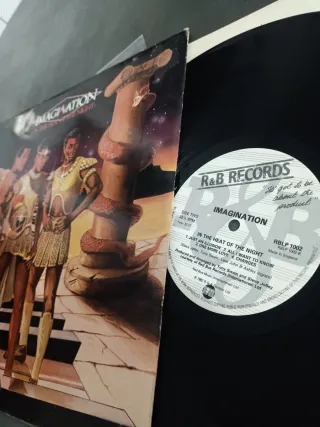 Imagination - LP In The Heat Of The Night 33 rpm