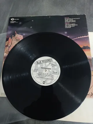 Imagination - LP In The Heat Of The Night 33 rpm