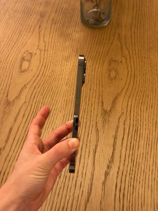 iPhone 13 Pro Max 128GB Gris Espacial