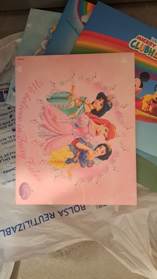 4 Cuadros Disney Princesas 20x15